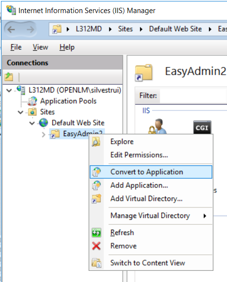 Converting a virtual directory to application option