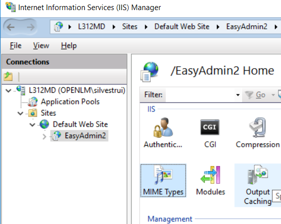 Adding MIME Types for IIS