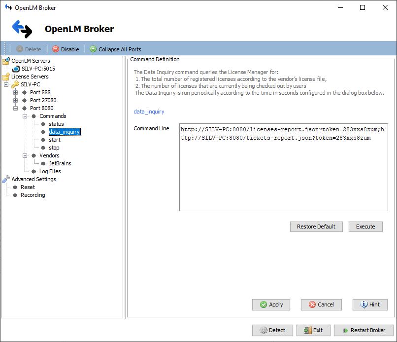 OpenLM Broker settings for JetBrains FLS
