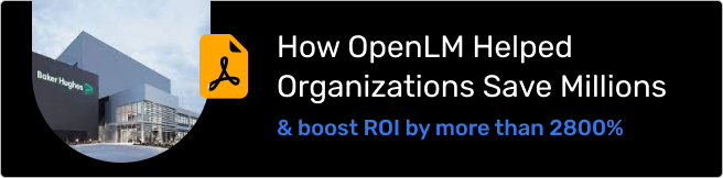 How OpenLM Helped Organizations Save Millions
